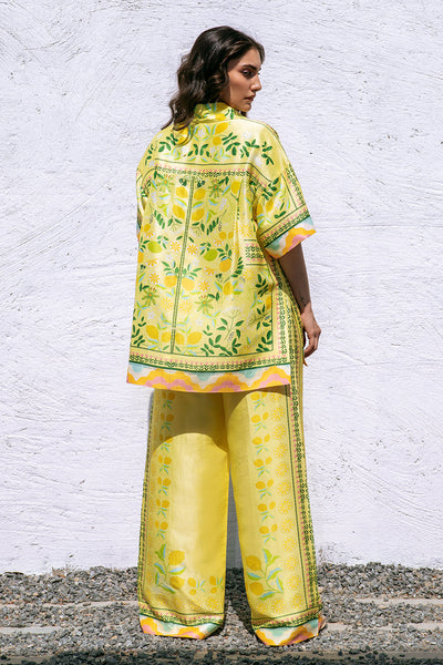 Sania Maskatiya | Eid Collection | Alva -  Sania Maskatiya Formal - Original Designer Dress - House of Maryam