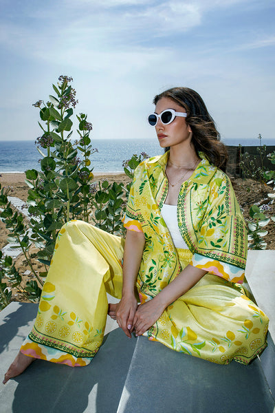 Sania Maskatiya | Eid Collection | Alva -  Sania Maskatiya Formal - Original Designer Dress - House of Maryam