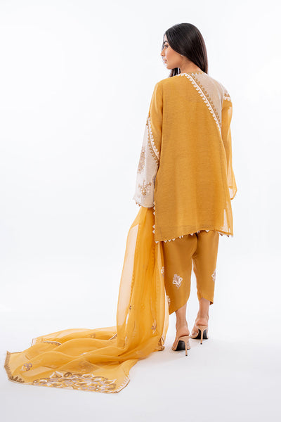 Sania Maskatiya | Eid Collection | Lulu (A) -  Sania Maskatiya Formal - Original Designer Dress - House of Maryam
