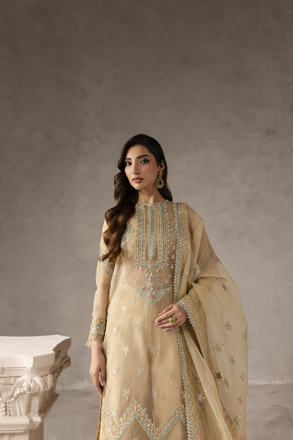 Imran Ramzan | Eblour Wedding Formals | Soleil Étincelant-4