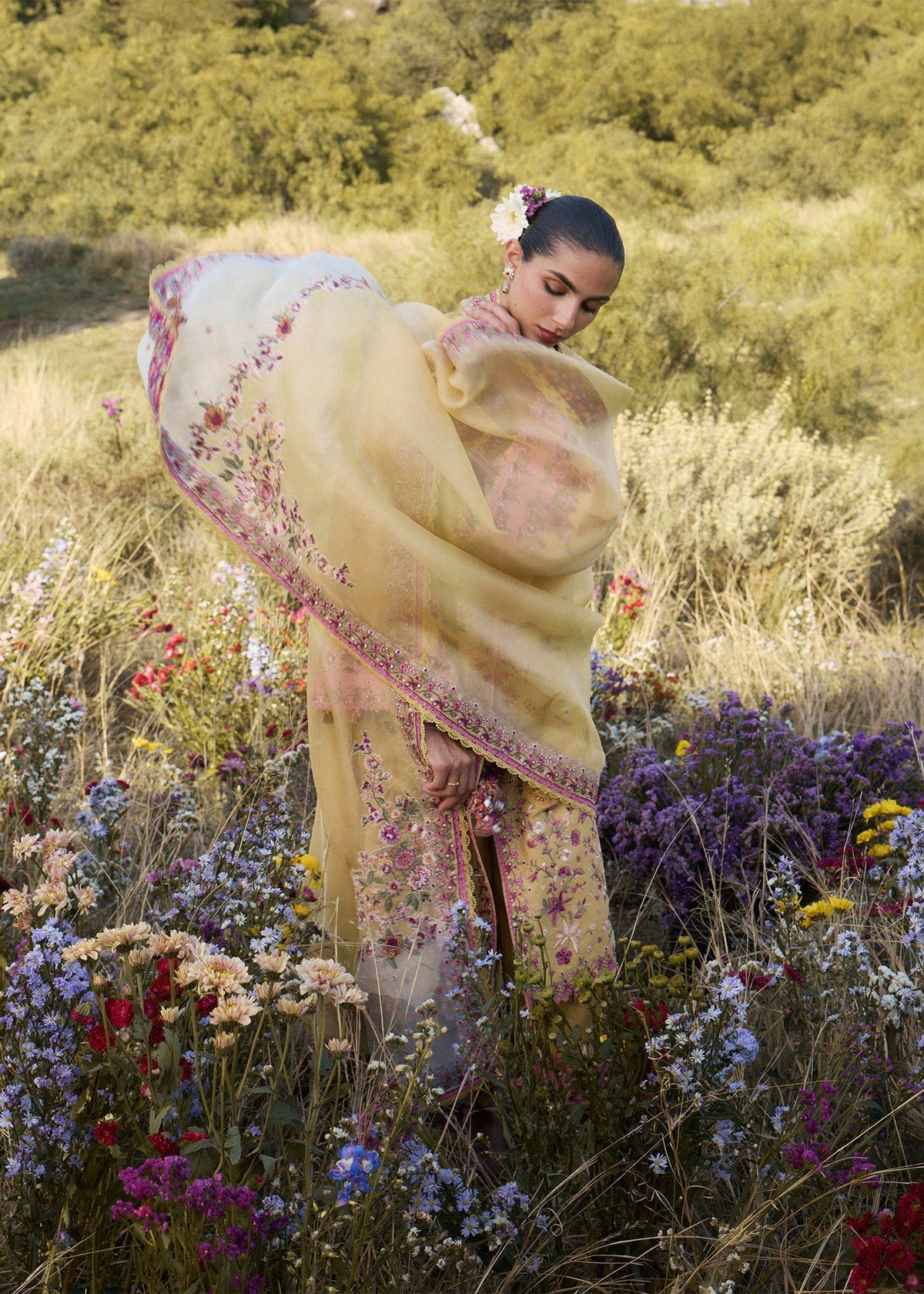 Hussain Rehar | Jinan 26 | Sonal, image 4