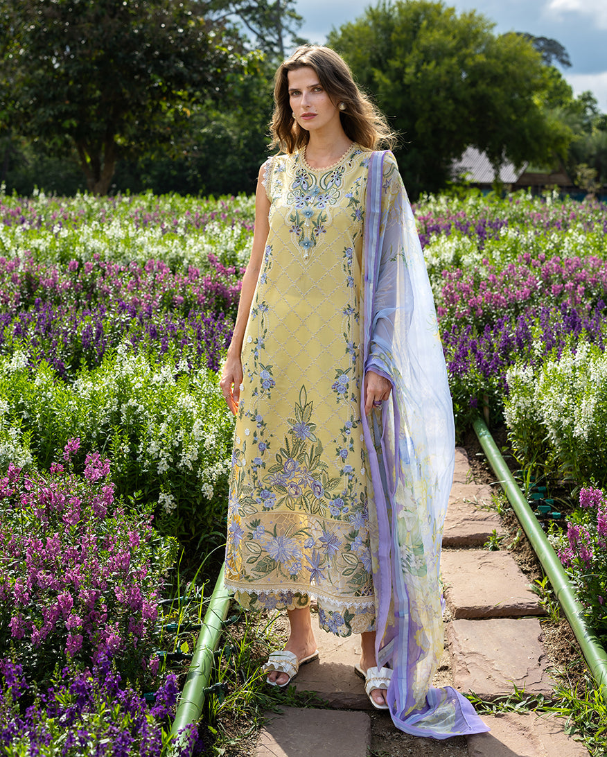 Mushq | Hemline the Secret Garden | Sunlit Meadow