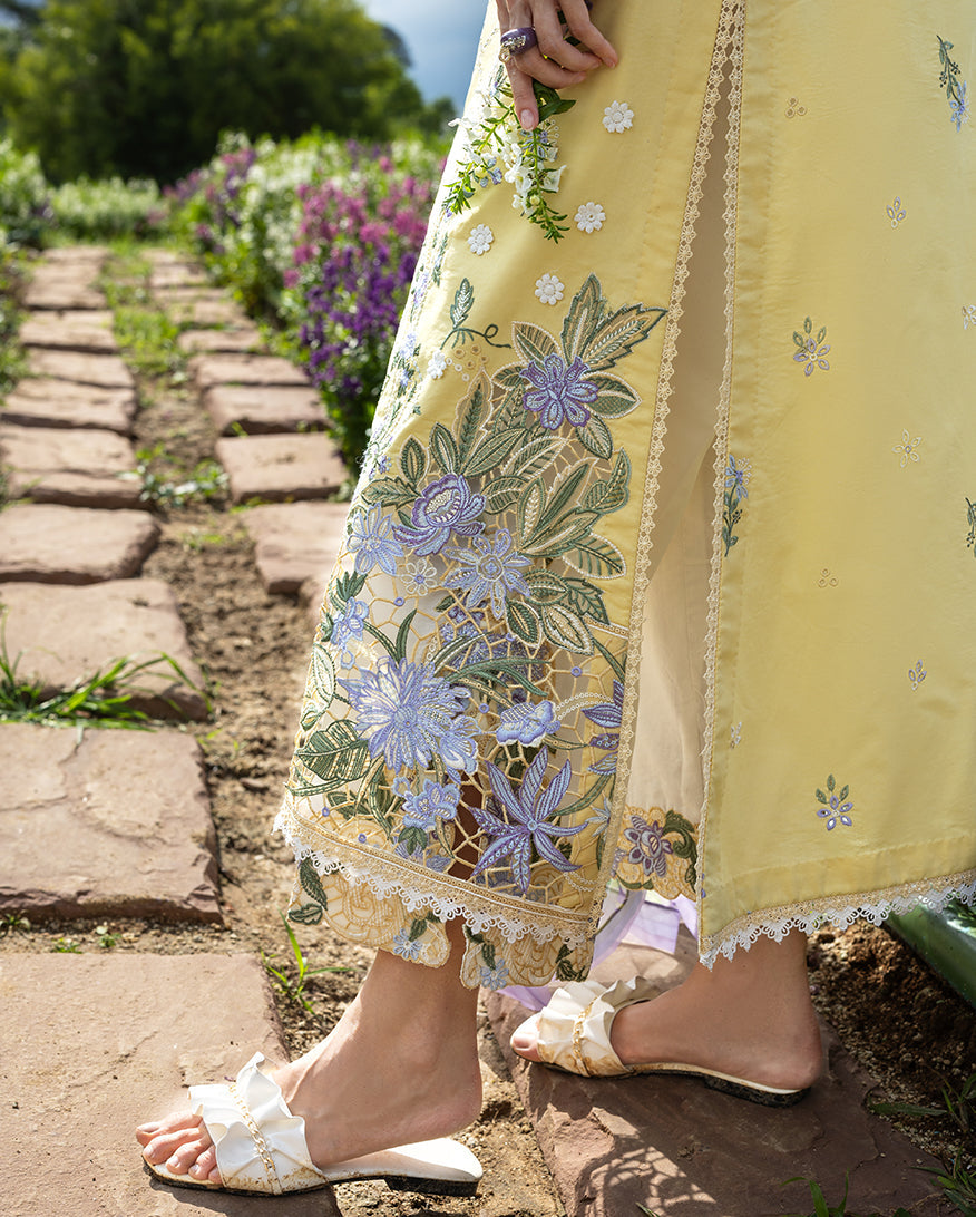 Mushq | The Secret Garden Lawn | Sunlit Meadow, image 5