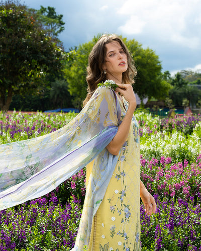 Mushq | The Secret Garden Lawn | Sunlit Meadow