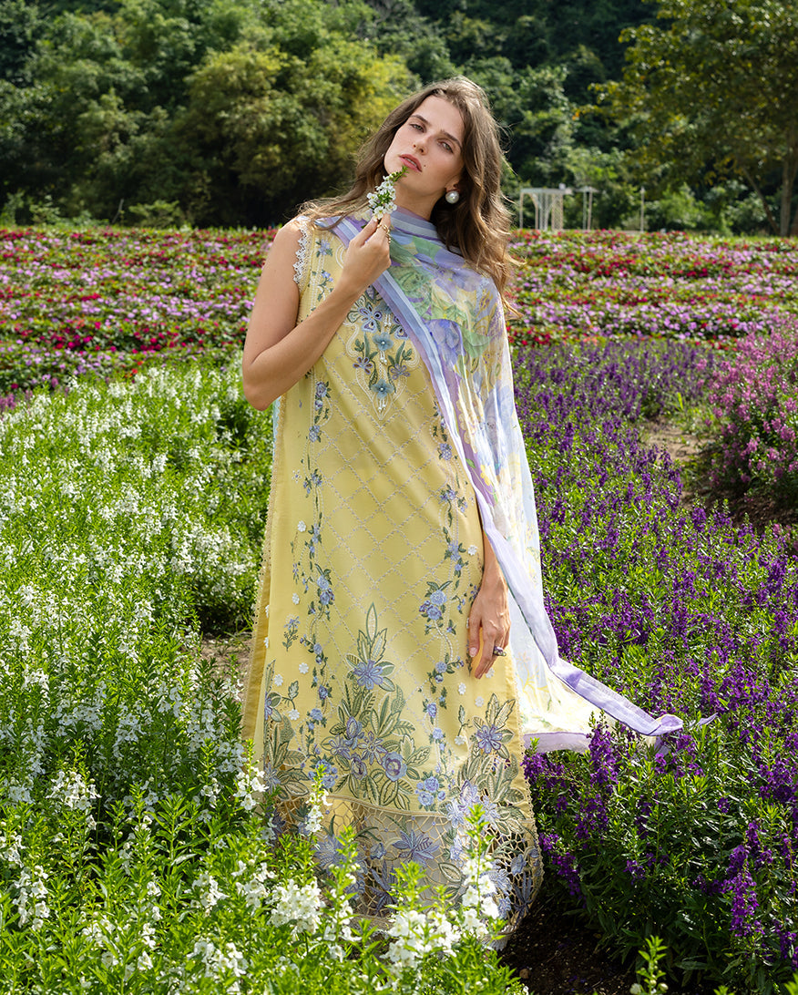 Mushq | Hemline the Secret Garden | Sunlit Meadow, image 2
