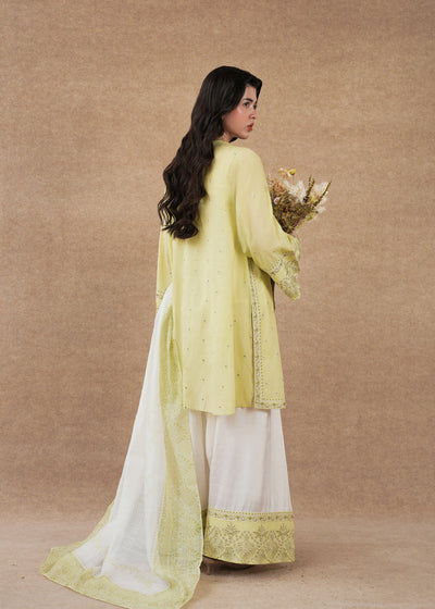 Laj | Festive Eid 25 | LE02-08-25 -  Laj Ladies Clothes - Original Designer Dress - House of Maryam