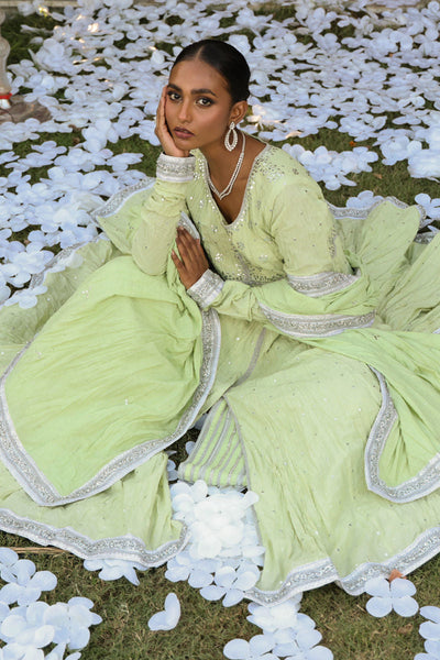The Pink Tree Company | Wedding Wear | LEAFY BLUSH -  The Pink Tree Company Formal - Original Designer Dress - House of Maryam