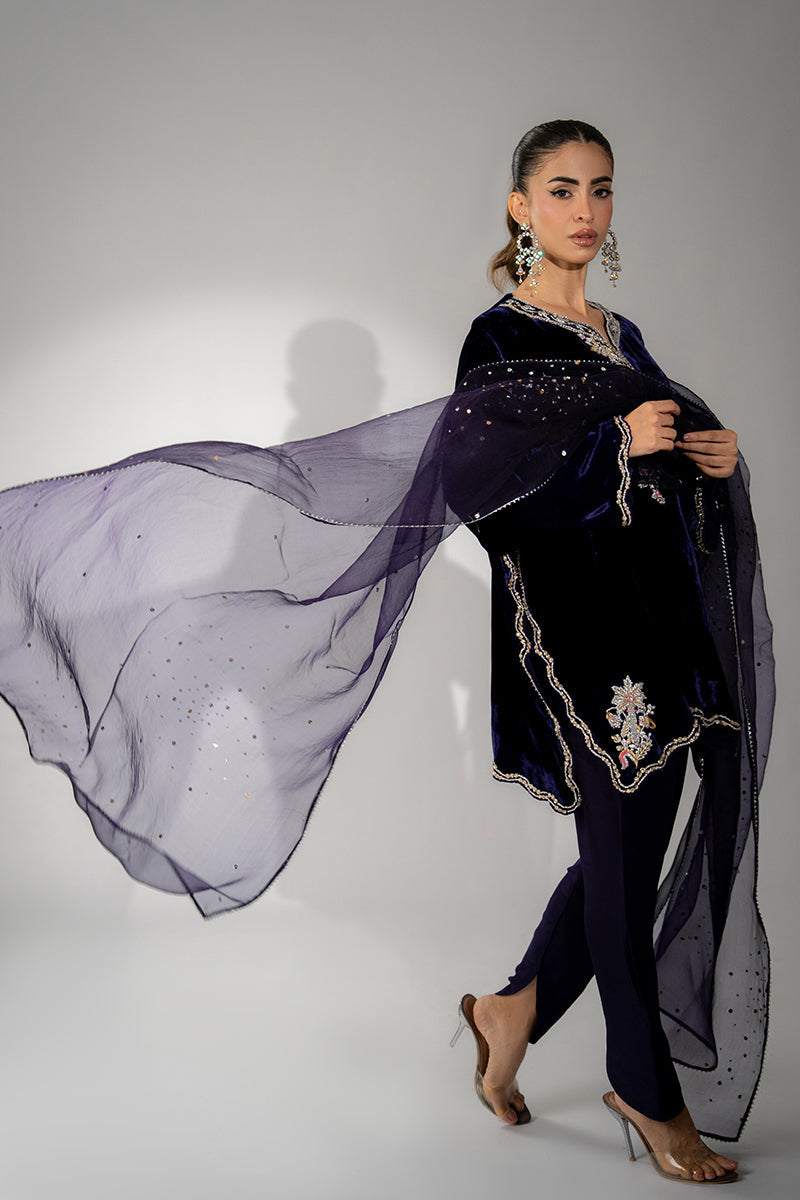 Mina Hassan | Winter 25 | Ushna by Mina Hasan, image 5