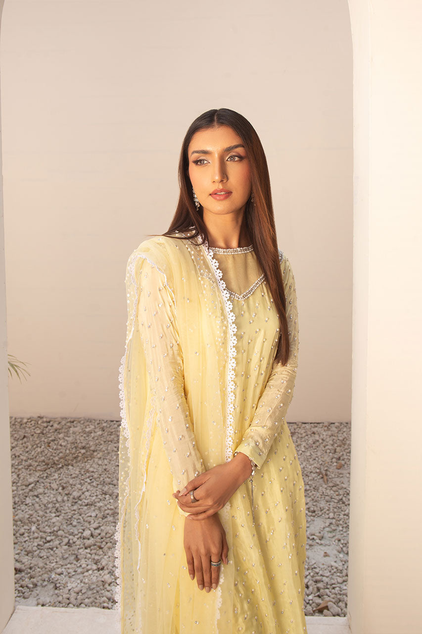 Leon | Leon Luxe Collection | SITARA LIME -  Leon Formal - Original Designer Dress - House of Maryam