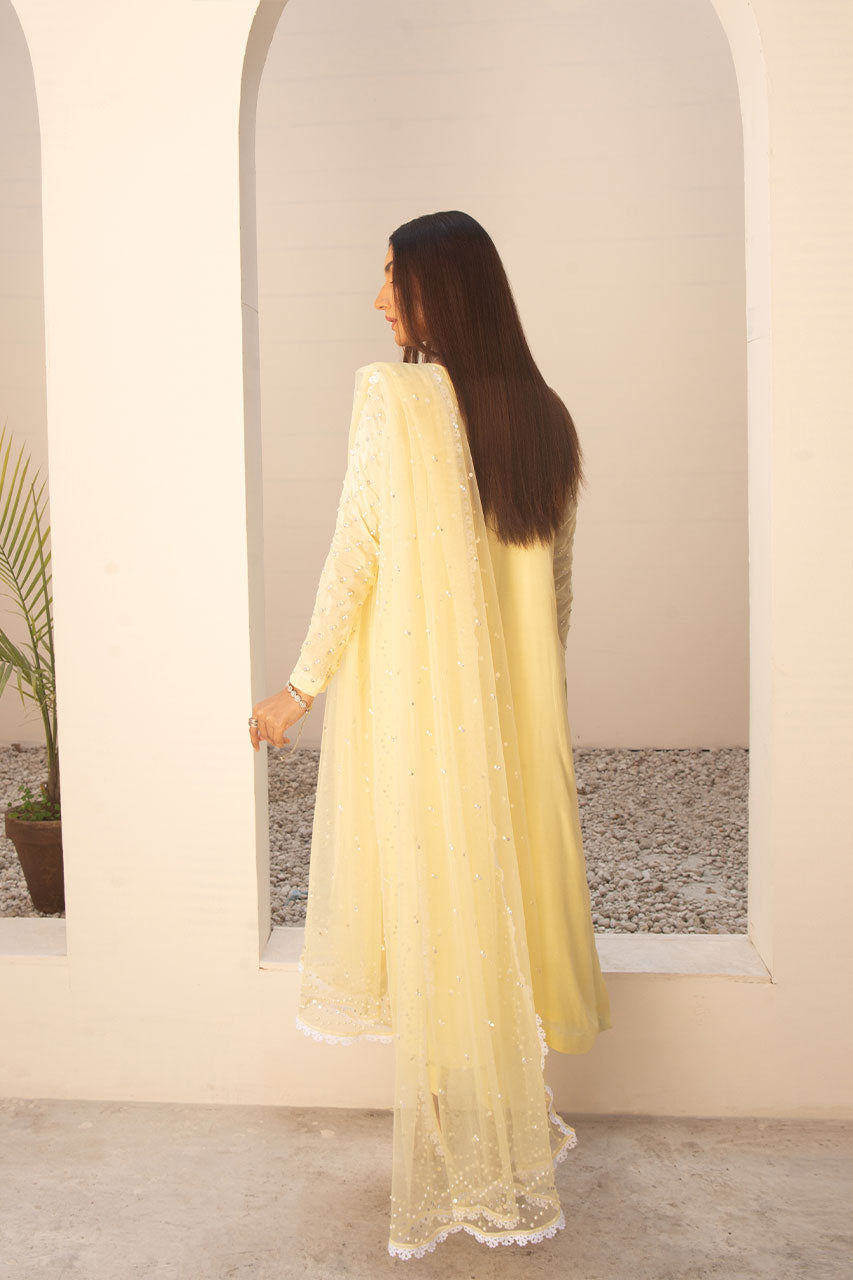 Leon | Leon Luxe Collection | SITARA LIME by Designer Leon - House of Maryam - Pakistani Designer Ethnic Wear in {{ shop.shopifyCountryName }}