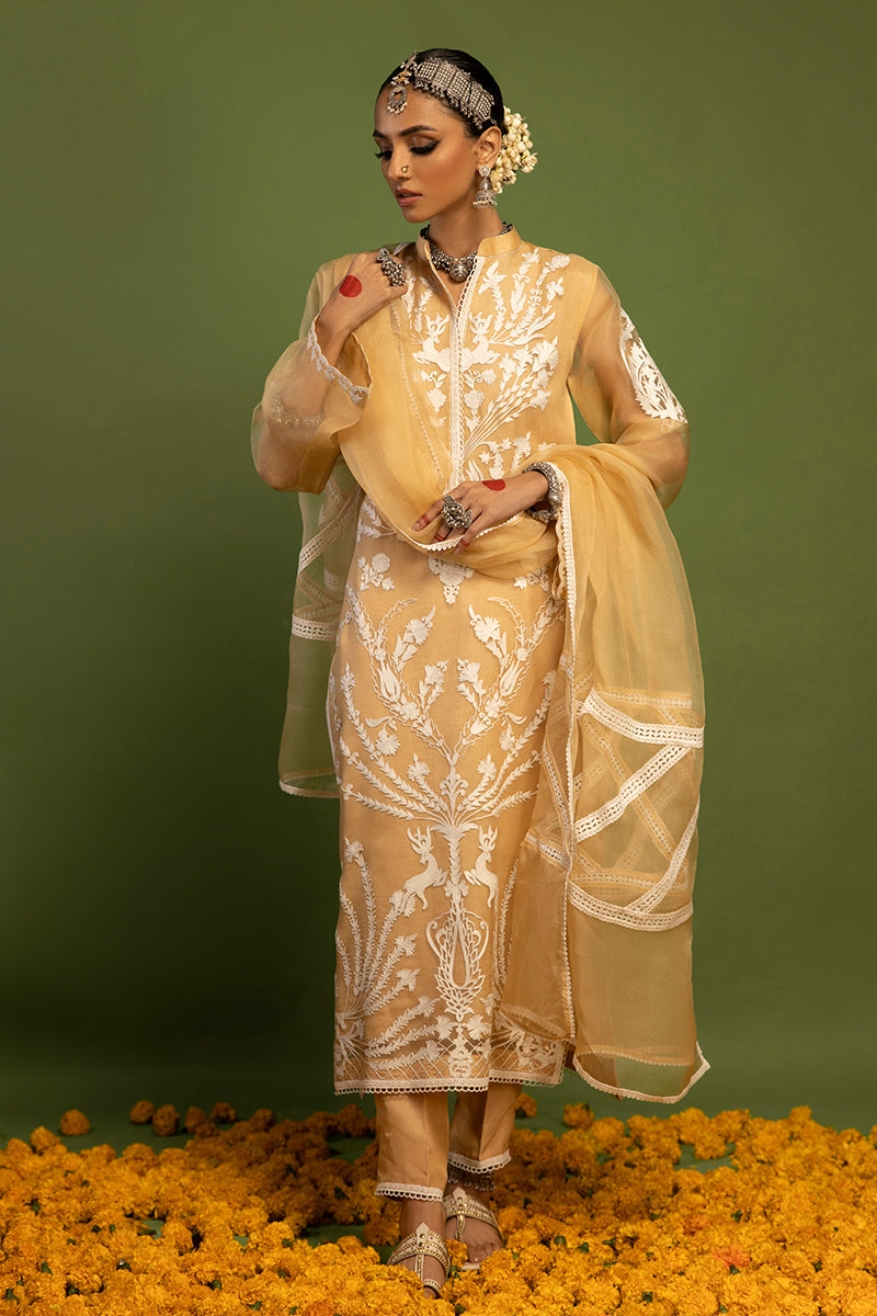 Wardha Saleem | Luxury Pret Traditional Wear | SHIKAR GAH - AARI WORK (2 PC) -  Wardha Saleem Ladies Clothes - Original Designer Dress - House of Maryam