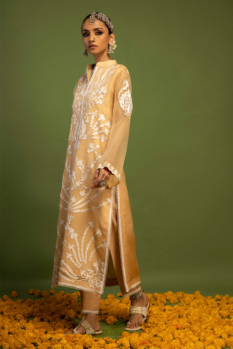 Wardha Saleem | Luxury Pret Traditional Wear | SHIKAR GAH - AARI WORK (2 PC) -  Wardha Saleem Ladies Clothes - Original Designer Dress - House of Maryam