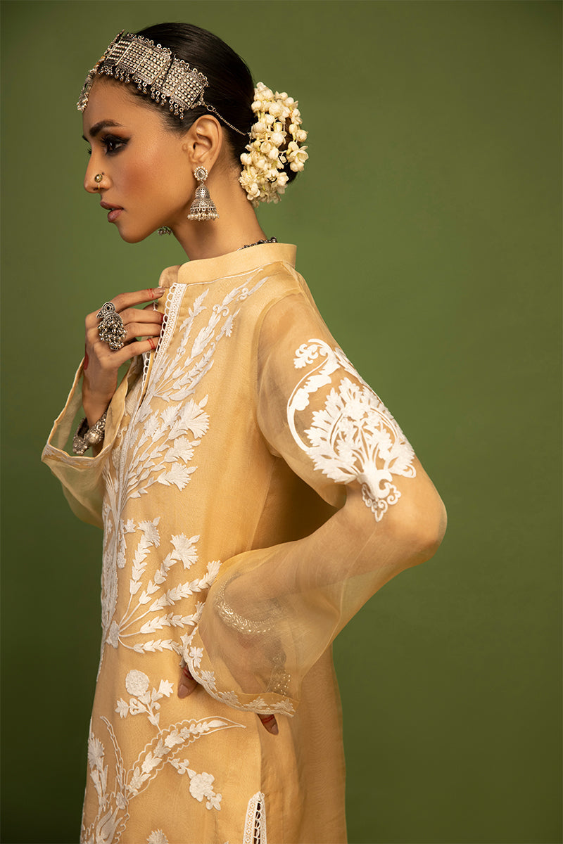 Wardha Saleem | Luxury Pret Traditional Wear | SHIKAR GAH - AARI WORK (2 PC) -  Wardha Saleem Ladies Clothes - Original Designer Dress - House of Maryam