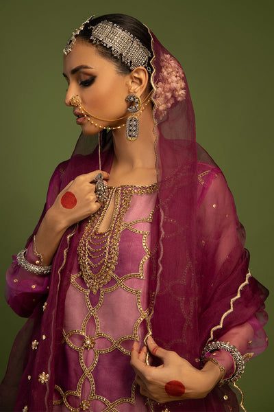 Wardha Saleem | Luxury Pret Traditional Wear | SARAAB - PLUM HEAVY (2 PC) -  Wardha Saleem Ladies Clothes - Original Designer Dress - House of Maryam