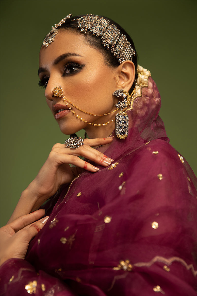 Wardha Saleem | Luxury Pret Traditional Wear | SARAAB - PLUM HEAVY (2 PC) -  Wardha Saleem Ladies Clothes -  House of Maryam