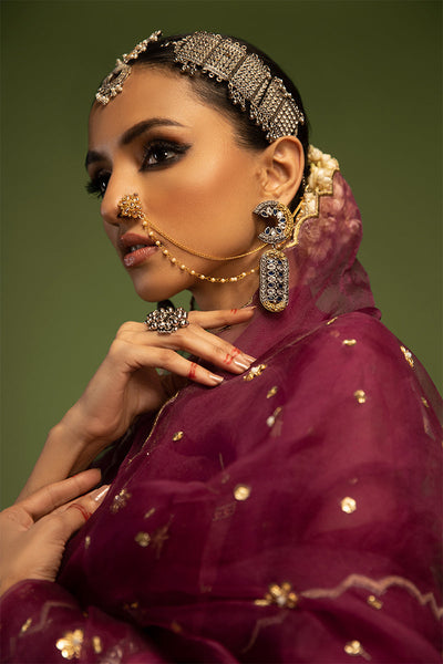 Wardha Saleem | Luxury Pret Traditional Wear | SARAAB - PLUM HEAVY (2 PC) -  Wardha Saleem Ladies Clothes - Original Designer Dress - House of Maryam