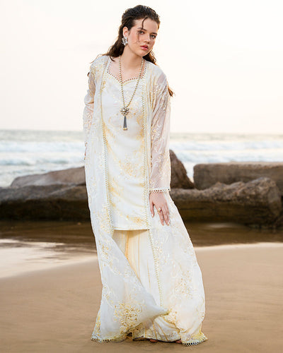 Ain | Leher Formal Luxury 25 | AN-133