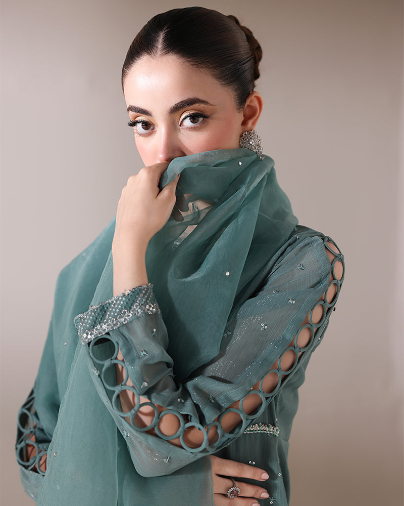 Ain | Noore Festive Formals 25 | AN-152, image 4