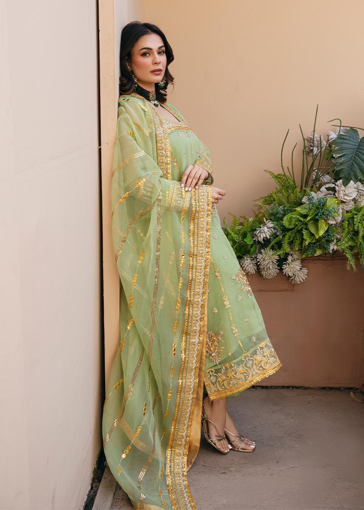 Daud Abbas | Formals Collection | Sunahri -  Daud Abbas Formal - Original Designer Dress - House of Maryam