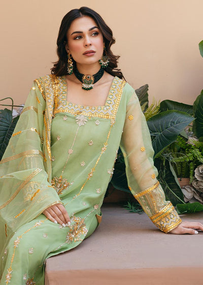 Daud Abbas | Formals Collection | Sunahri -  Daud Abbas Formal - Original Designer Dress - House of Maryam