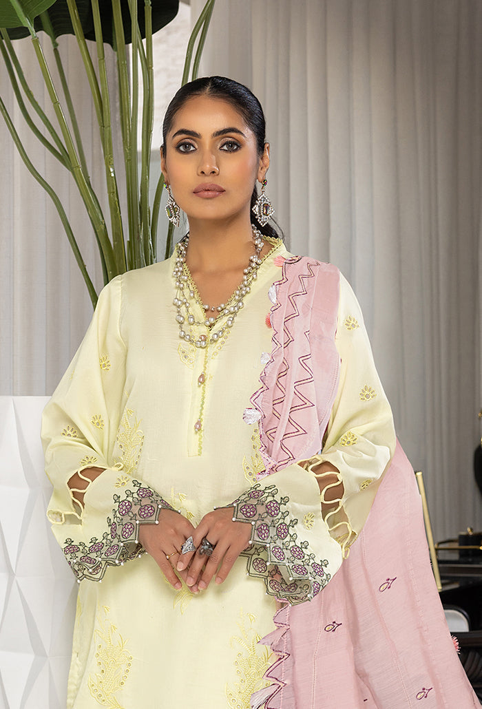 Humdum | Charlotte Chikankari Lawn | D06 -  HumDum Luxury - Original Designer Dress - House of Maryam