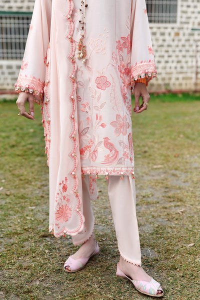 Zaha | Lawn 25 | ZANIA (ZL25-13 B) -  Zaha Ladies Clothes - Original Designer Dress - House of Maryam
