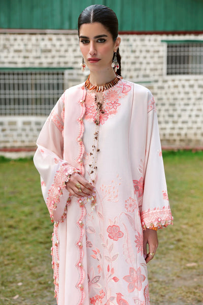 Zaha | Lawn 25 | ZANIA (ZL25-13 B) -  Zaha Ladies Clothes - Original Designer Dress - House of Maryam