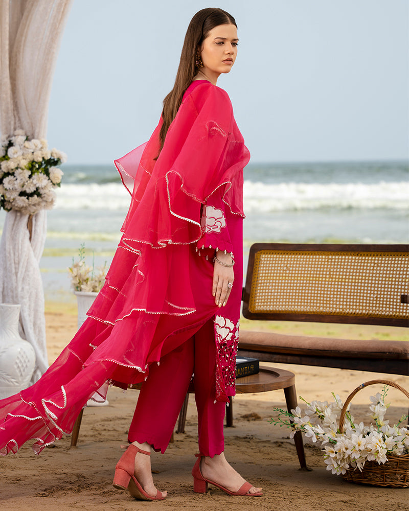 Ain | Leher Formal Luxury 25 |  AN-137-2
