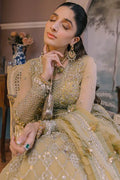 Elan | Wedding Festive 23 | Aireen by Designer Elan - House of Maryam - Pakistani Designer Ethnic Wear in {{ shop.shopifyCountryName }}