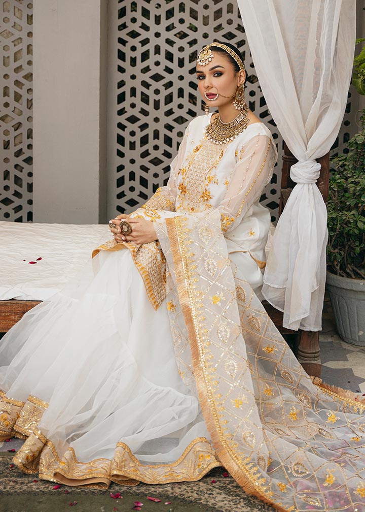 Daud Abbas | Formals Collection | Tamana -  Daud Abbas Formal - Original Designer Dress - House of Maryam