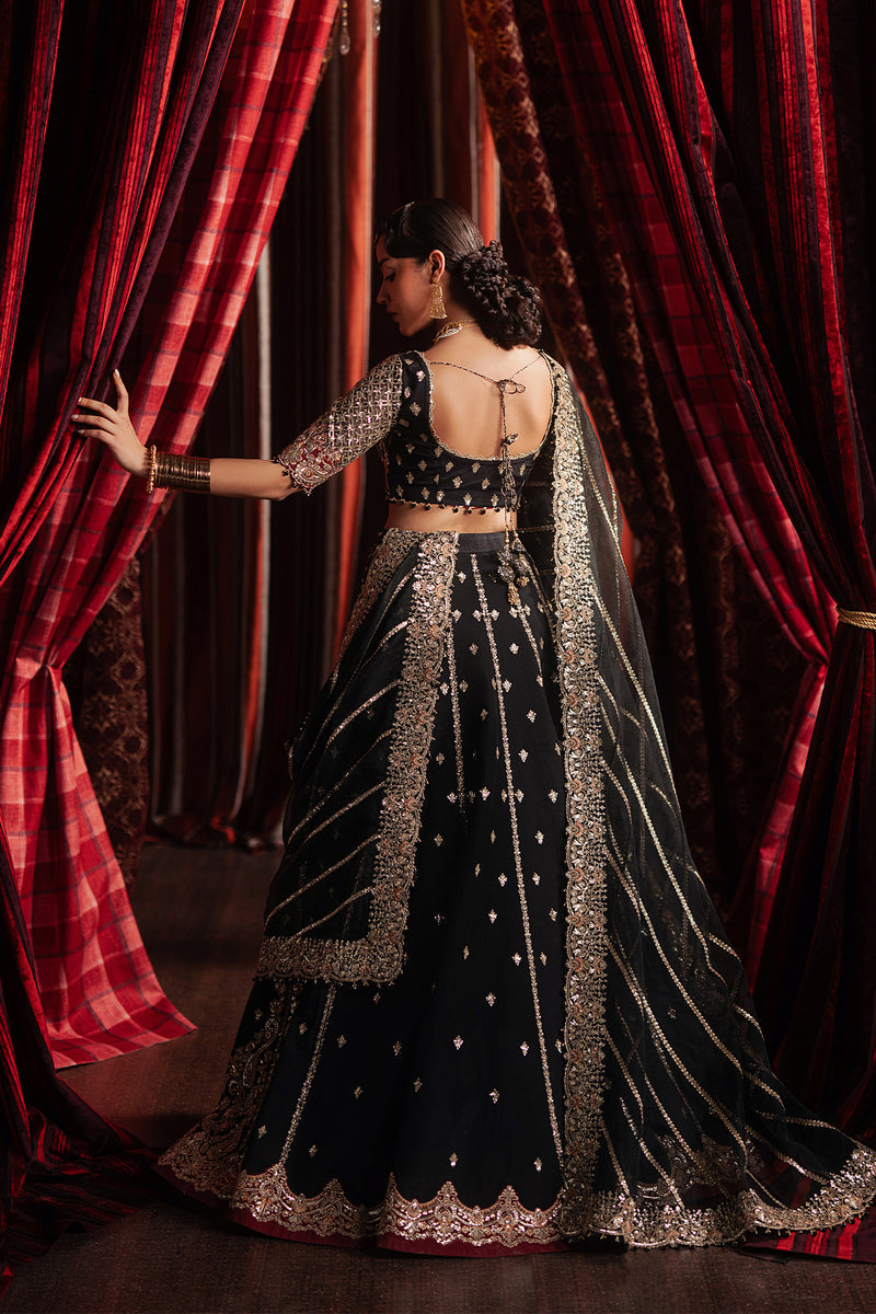 Afrozeh | Divani Silk 25 | Gulraiz, image 2