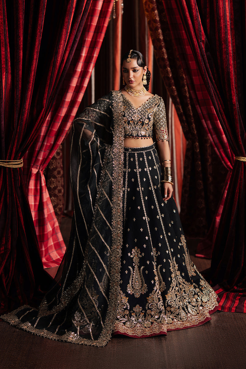 Afrozeh | Divani Silk 25 | Gulraiz