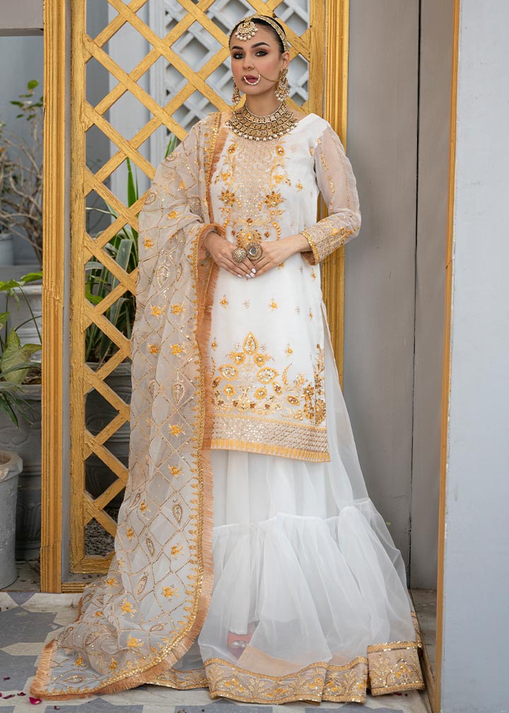 Daud Abbas | Formals Collection | Tamana by Designer Daud Abbas - House of Maryam - Pakistani Designer Ethnic Wear in {{ shop.shopifyCountryName }}