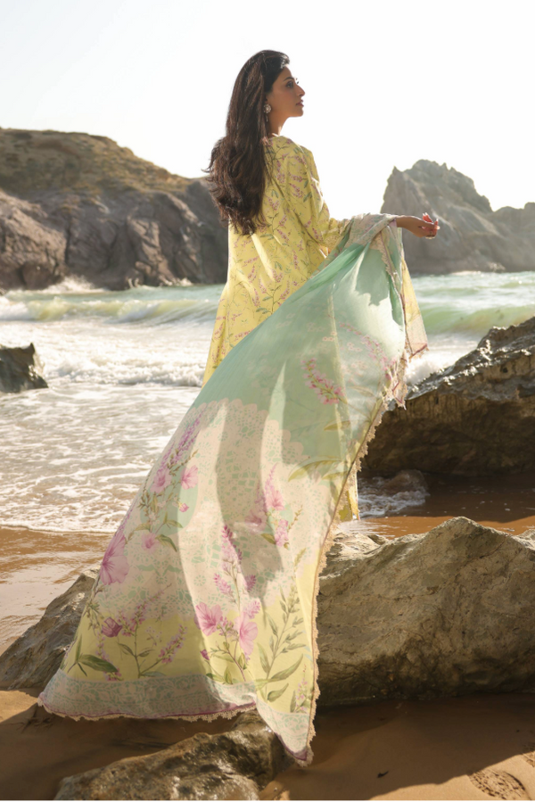 Manara | Summer Dreams 26 |GOLDEN HAZE-7