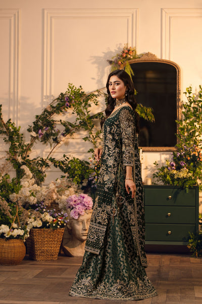 Hemstitch | Festive Edition 24 | Heer -  Hemstitch Ladies Clothes - Original Designer Dress - House of Maryam