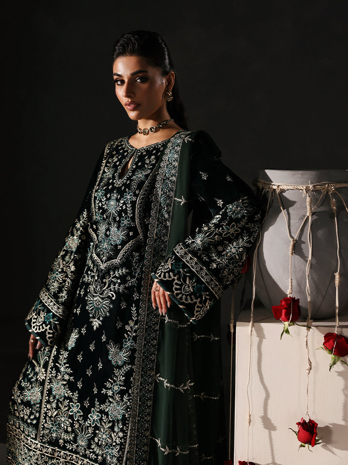 Gulaal | Marais Velvet | EVANA, image 8