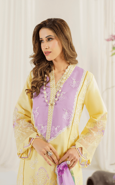 Asifa and Nabeel | Pretty in Pink Limited Edition | Versaila (PP-10) -  Asifa and Nabeel Luxury - Original Designer Dress - House of Maryam