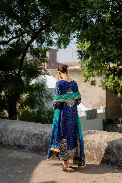 Vintage | Maaheru Formals | Zohra