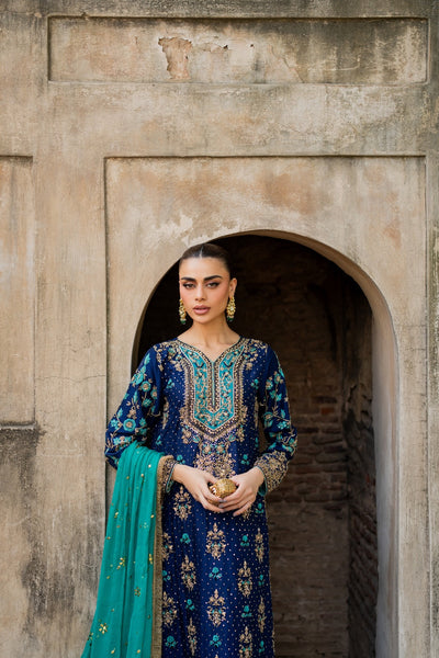 Vintage | Maaheru Formals | Zohra