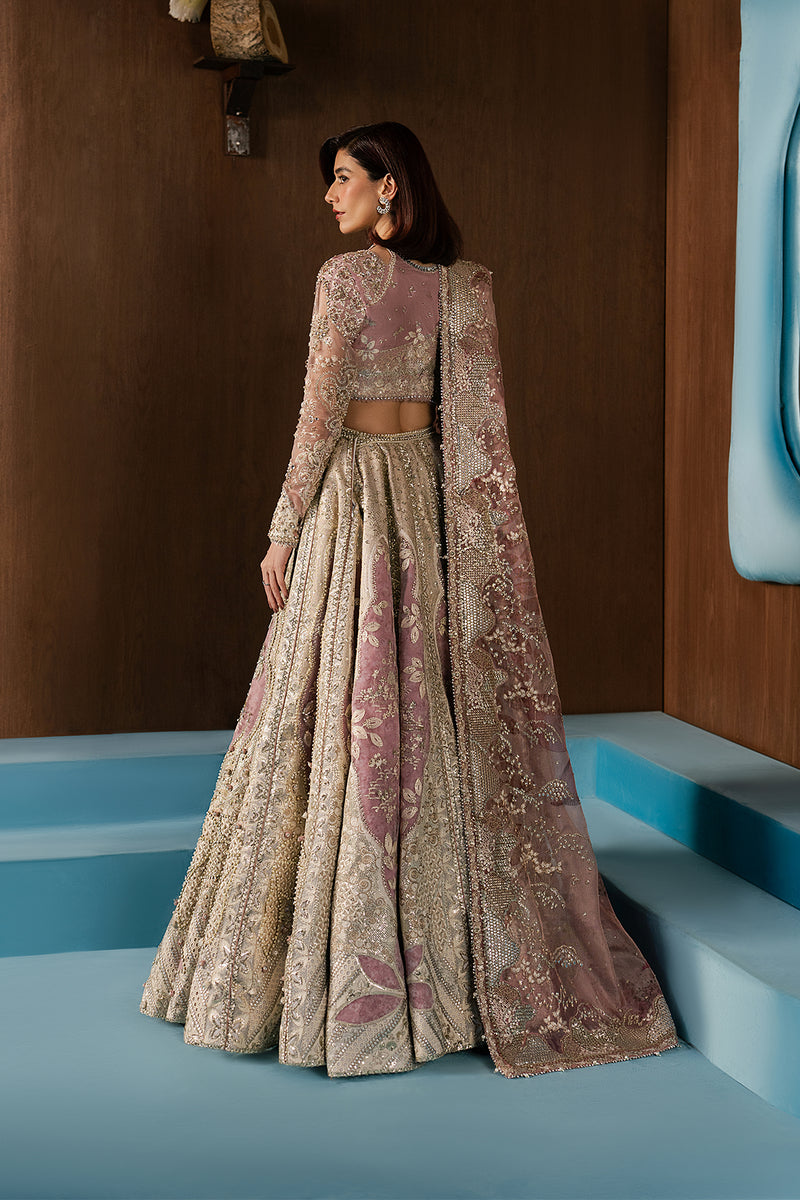 Afrozeh | Hayat Formals 25 | Zaviyah-2