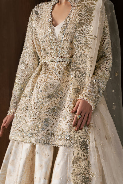 Afrozeh | Hayat Formals 25 | Rohave-3