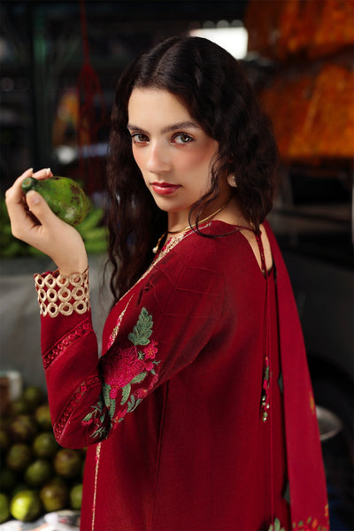 Charizma | Poshima Winters 25 | 3-pc Unstitched Wool Shawl Collection PSW5-01