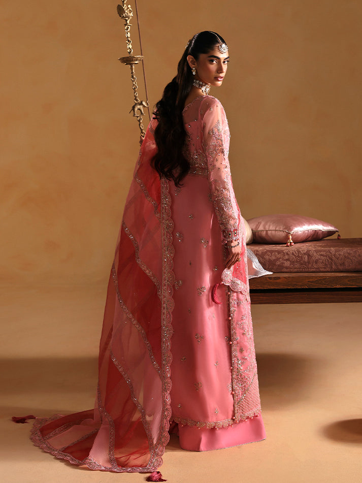 Gulaal | Wedding 25 | Areeman-2