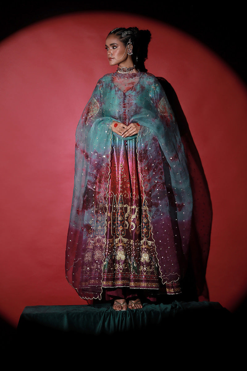 Wardha Saleem | Meeram Festive Formals | Mor -  Wardha Saleem Ladies Clothes - Original Designer Dress - House of Maryam