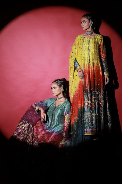 Wardha Saleem | Meeram Festive Formals | Satrangi -  Wardha Saleem Ladies Clothes - Original Designer Dress - House of Maryam