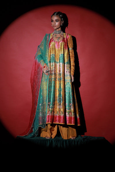 Wardha Saleem | Meeram Festive Formals | Bahaar Rang -  Wardha Saleem Ladies Clothes - Original Designer Dress - House of Maryam