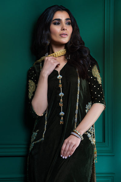 Wardha Saleem | Velvets Winter Fall 24 |  Guldaan -  Wardha Saleem Ladies Clothes - Original Designer Dress - House of Maryam