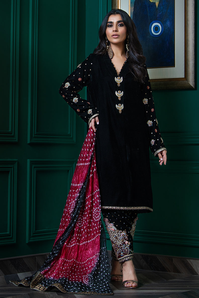 Wardha Saleem | Velvets Winter Fall 24 |   Parvaz -  Wardha Saleem Ladies Clothes - Original Designer Dress - House of Maryam