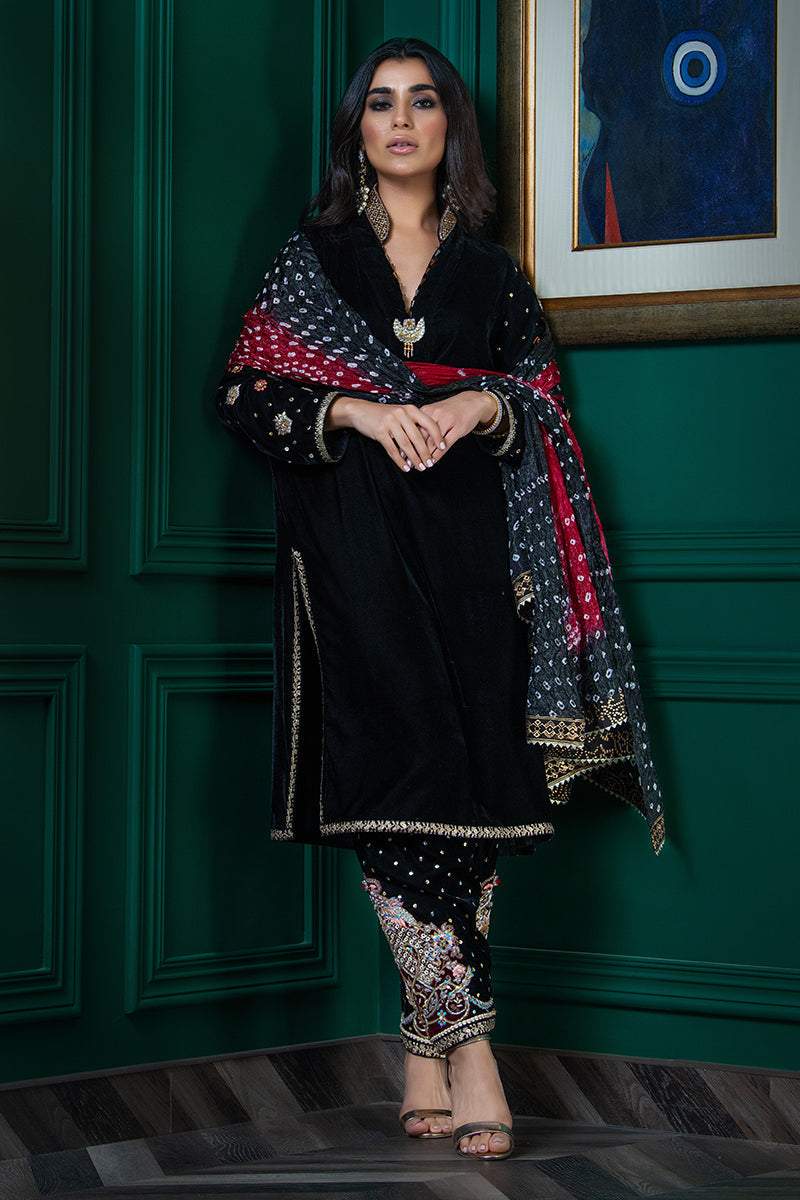 Wardha Saleem | Velvets Winter Fall 24 |   Parvaz -  Wardha Saleem Ladies Clothes - Original Designer Dress - House of Maryam