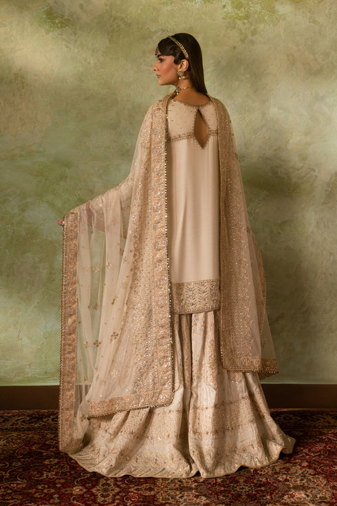 Naqshi | Ashiyana Wedding Formals | Damiya